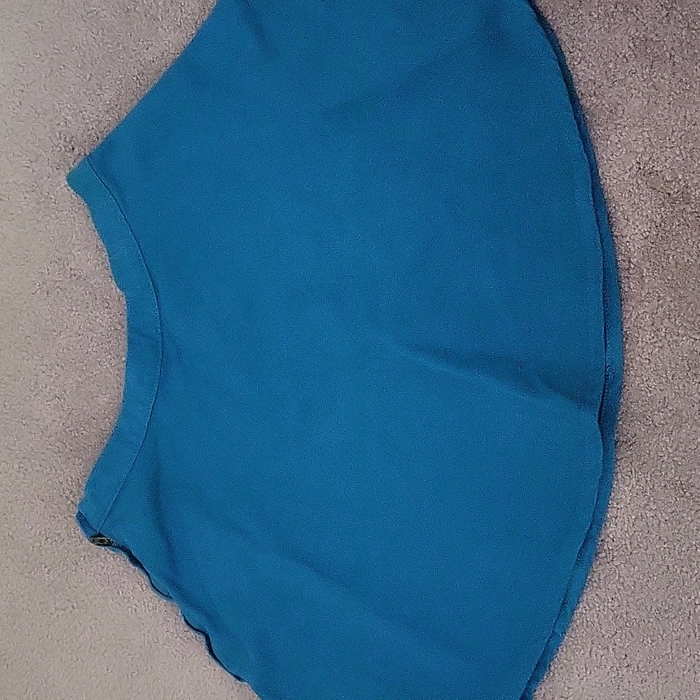 American Apparel A-Line Skirt